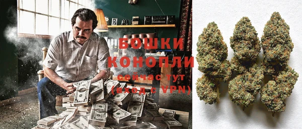молекула духа Михайловск
